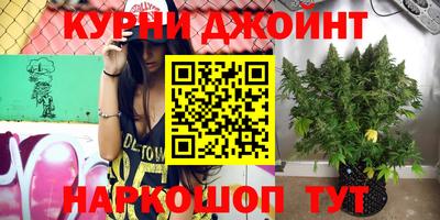 шишки Кунгур