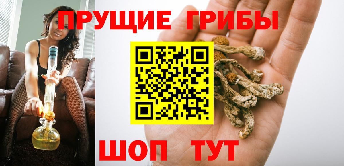 Жуковский  Псилоцибиновые грибы Psilocybine cubensis  Вход с VPN 